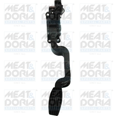 Accelerator Pedal Unit